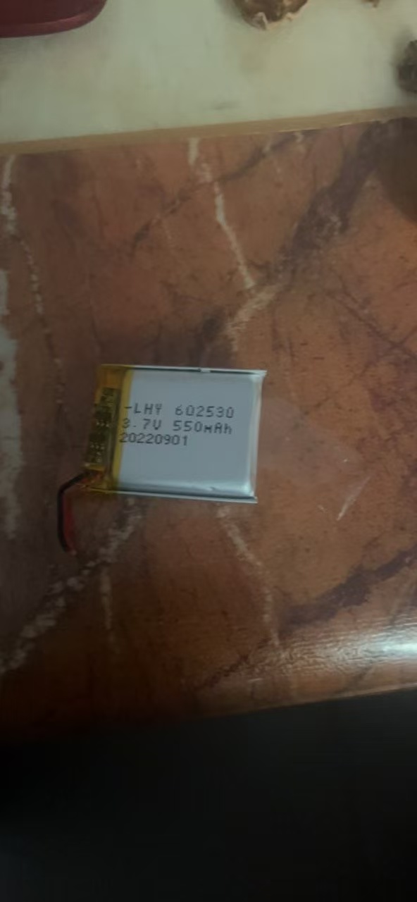 550MAH Polymer-Akku 602530 für – Garmin Smartwatch Accessories Bewertung und Preis
